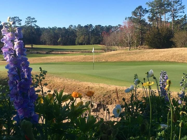 10 Best PetFriendly Airbnbs In Pawleys Island, South Carolina Updated 2024 Trip101