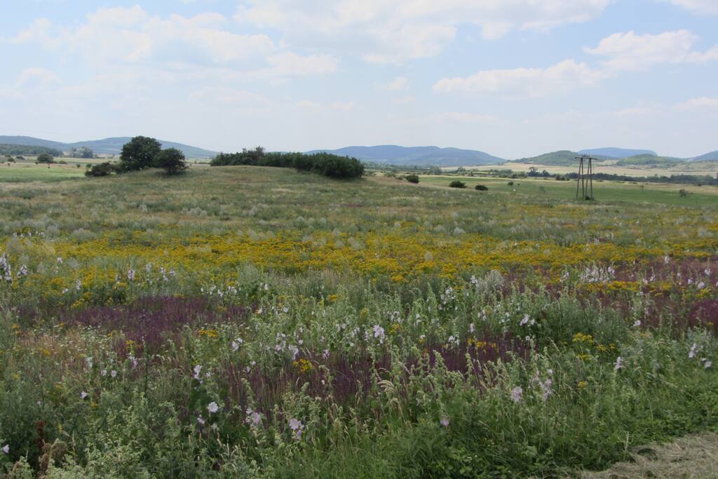 KÃ¡li medence/KÃ¡li basin