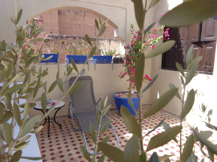 Terrasse au soleil avec végétation.