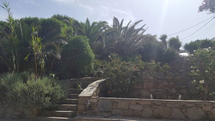 Traditional Mykonian Villa gallery image 3