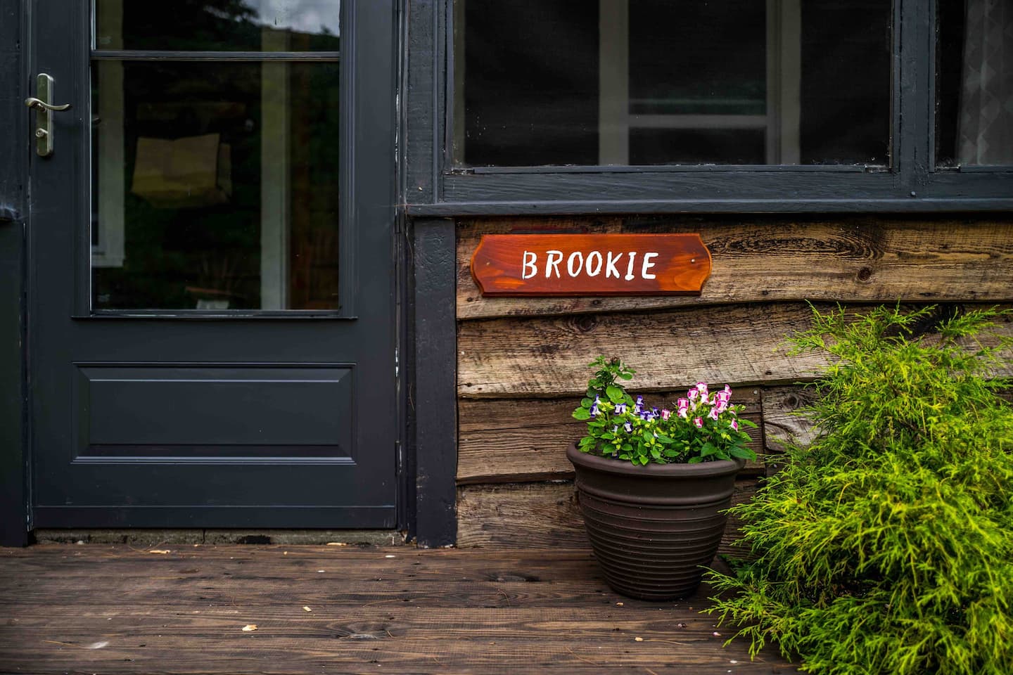 The Brookie