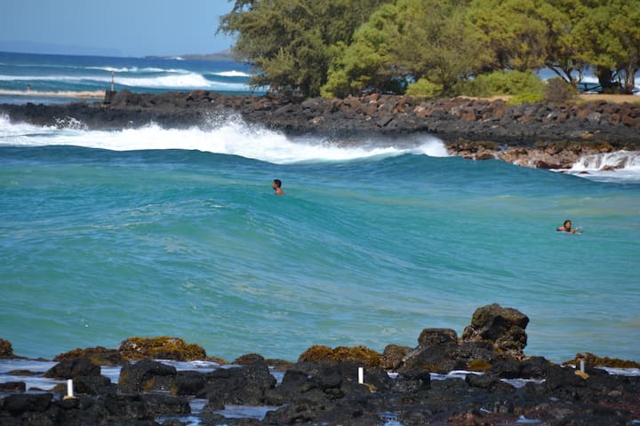 Regency 2 bd 2 ba Condo with new AC in Poipu Kai!