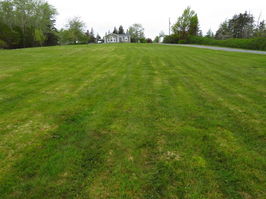 Front lawn