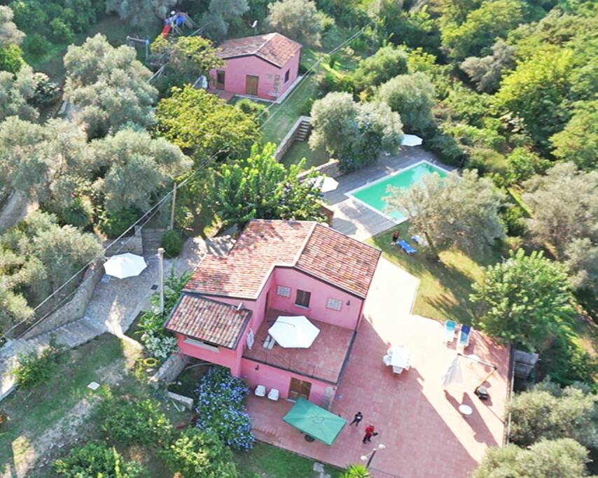 AGRICONTURA FROM THE SKY