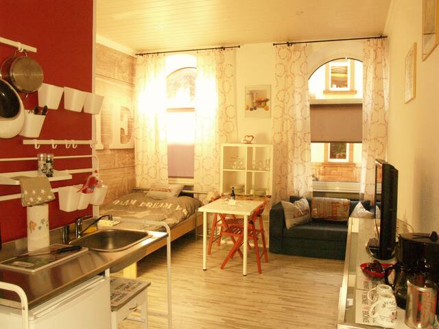 Cozy Old Town Studio Apartment