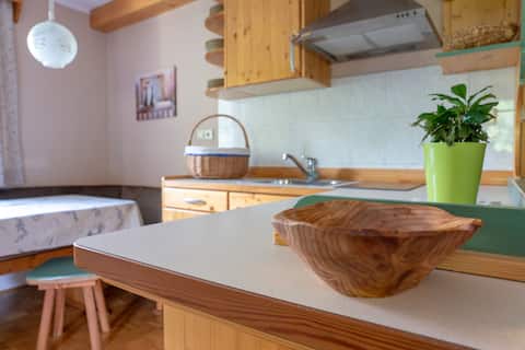 Triglav - Apartma 2