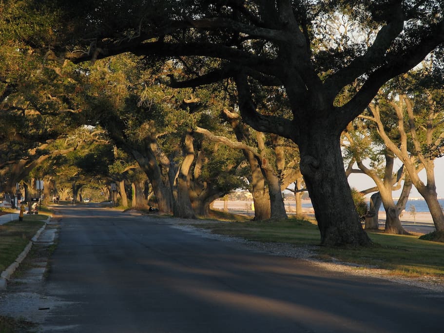 Walk or bike (we have 2) under the live oaks one block from the cottage