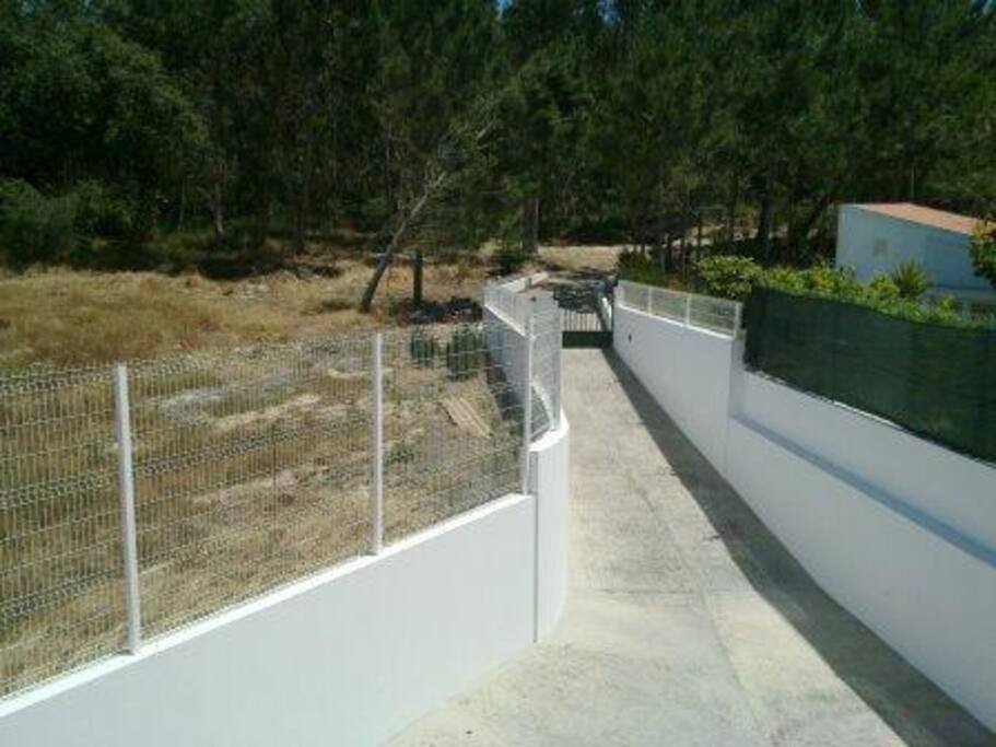 backyard and private forest
