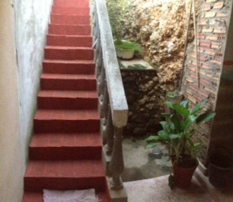 Stairs at the back of the house up to the patio