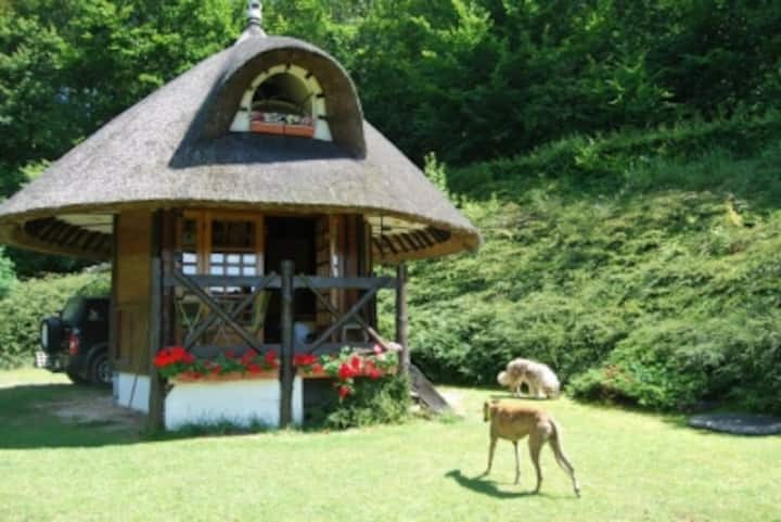 Gîte Forestier
