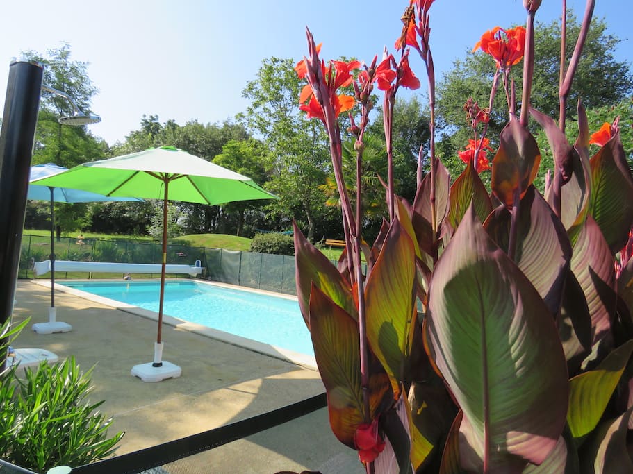 Comment résister à la piscine dans un cadre paisible ?
