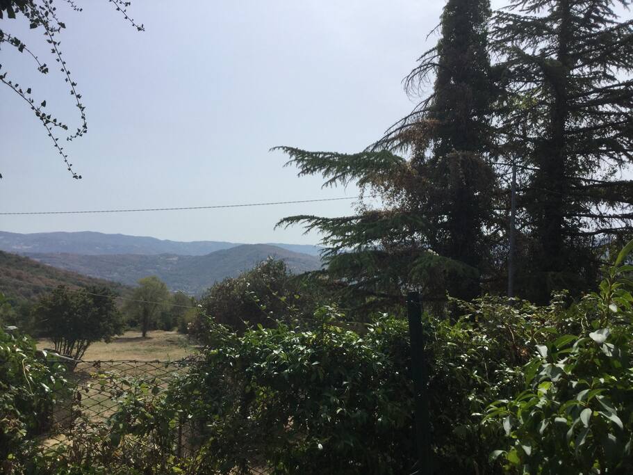 La vista dalla casa