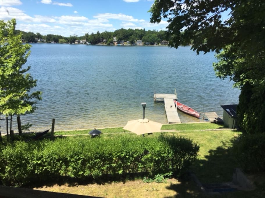 View from the back porch
