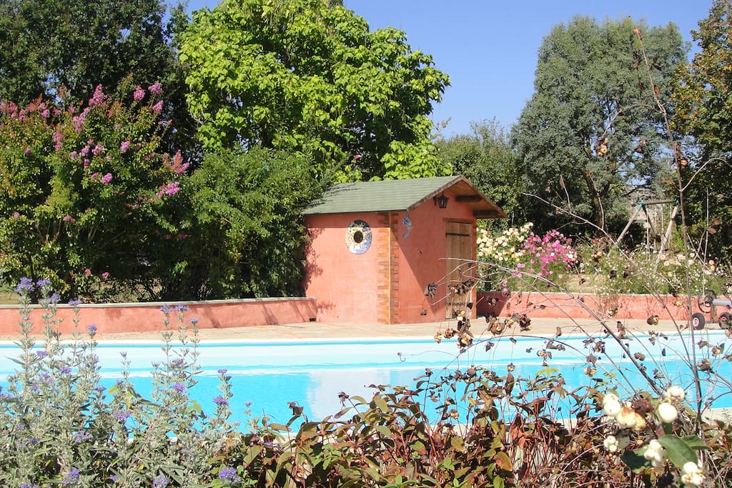 la piscine et ses fleurs