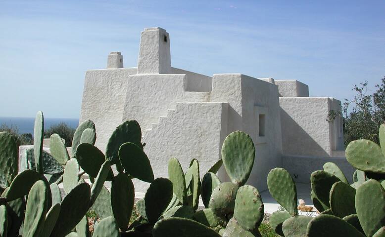 Villa Fichi d’India – Piscina – Vista mare – Pool gallery image 5