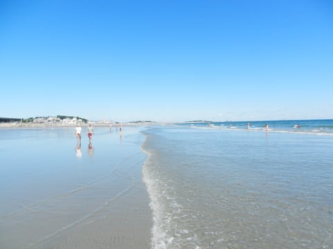 3BR Immaculate and Sunny Home Near the Beach!