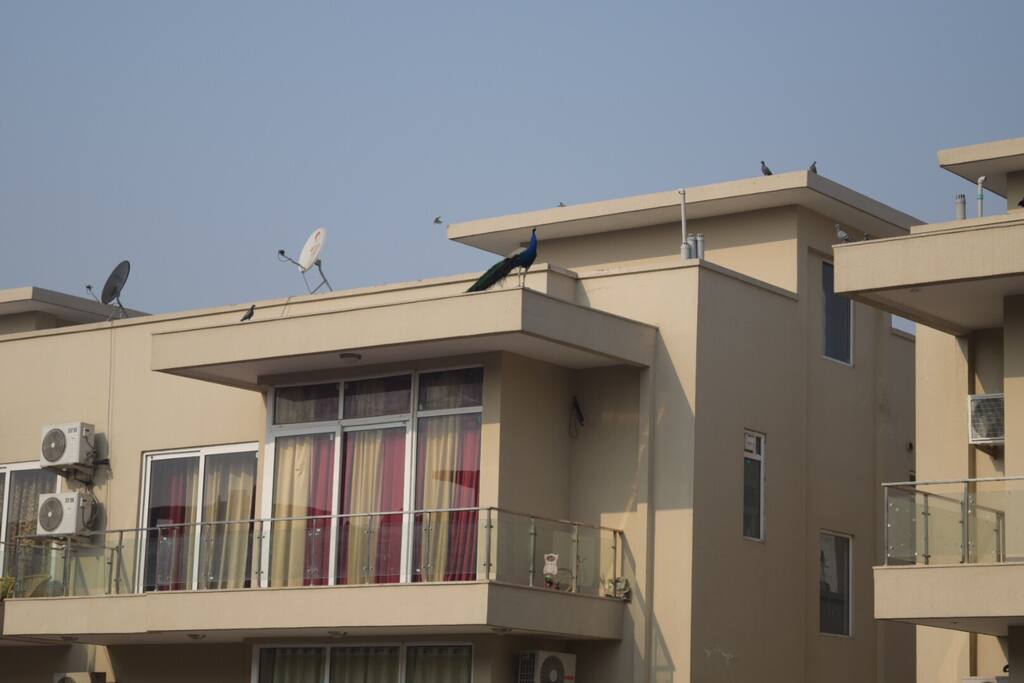 Outside view