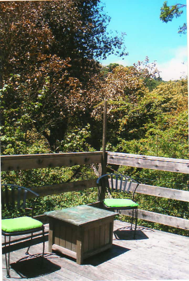 Cozy Inverness cabin close to Tomales bay Houses for Rent in Inverness, California, United