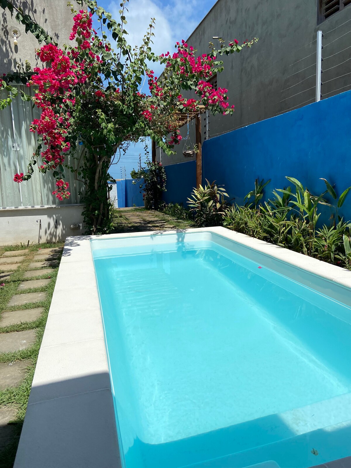 The image captures a serene swimming pool surrounded by vibrant bougainvillea and green landscaping. Sunlight reflects off the clear water, and a blue wall provides a colorful backdrop, enhancing the tranquil atmosphere of the outdoor space.