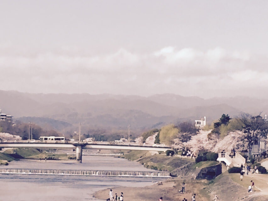A serene riverside scene displays the Kamogawa River, lined with cherry blossom trees in bloom. A bridge crosses the river, while people are seen walking along the bank, enjoying the scenic view of distant mountains and a clear sky.