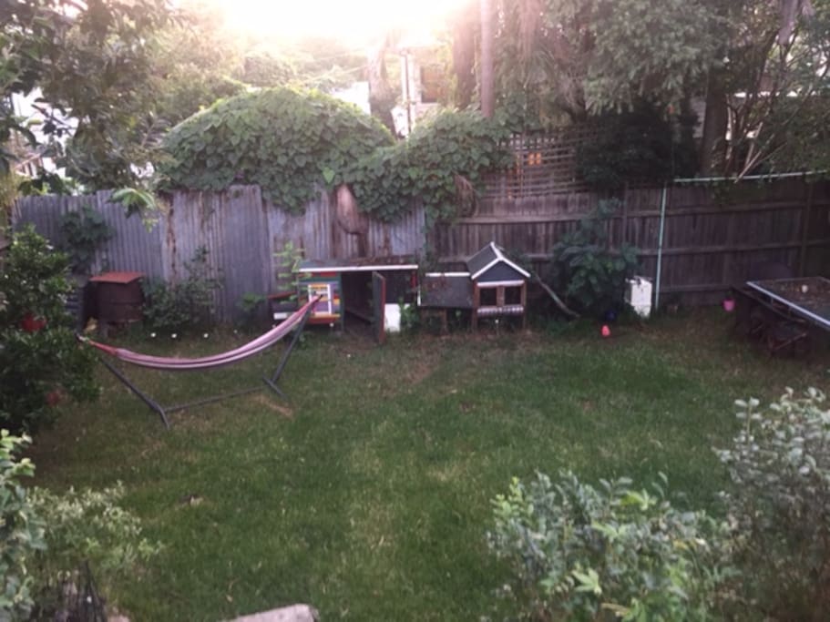 Garden