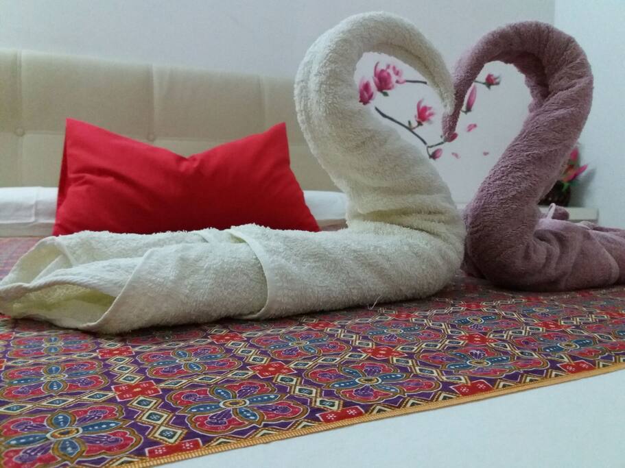 Recent bed setting for our guest. His wife was so excited