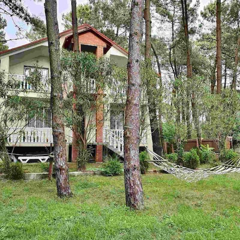 Villa Sunny Grigoleti-(seaside)