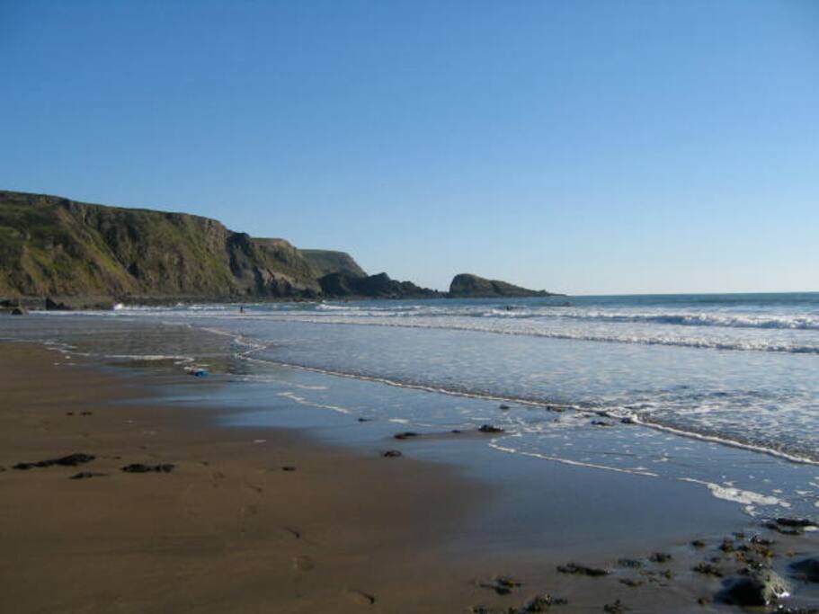 Welcombe beach at low tide
