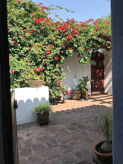 La terraza hace de Depa Bugambilia un lugar privilegiado y único en el corazón de la hermosa colonia Chapalita.