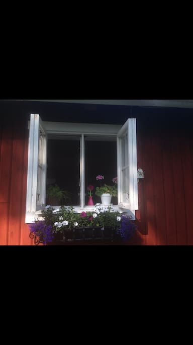 Sommarfönster