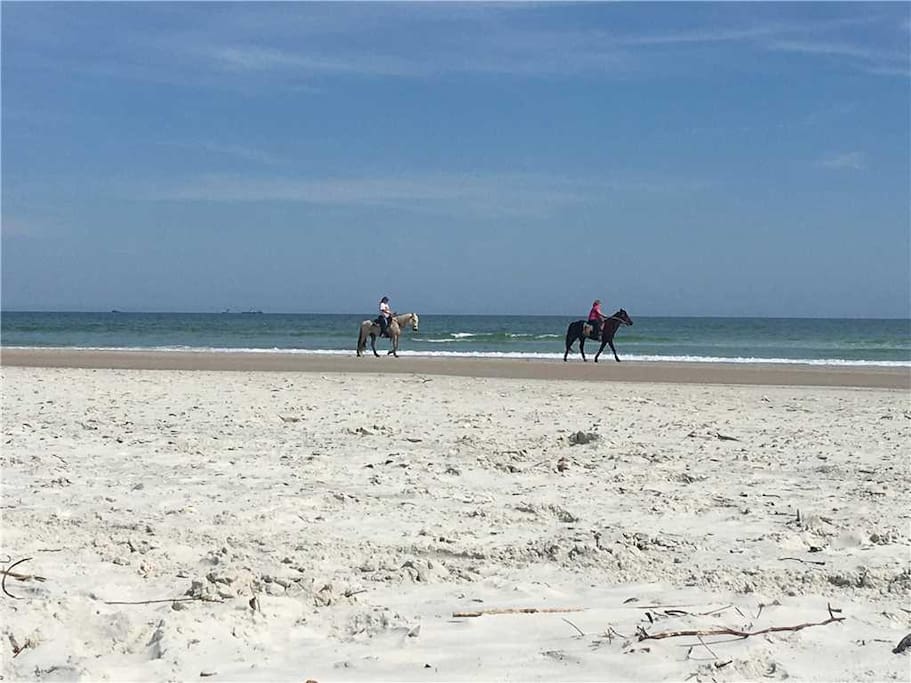 Grab Your Beach Towel - The white silky shores of the Atlantic are the perfect place to lie out your beach towel and catch some r