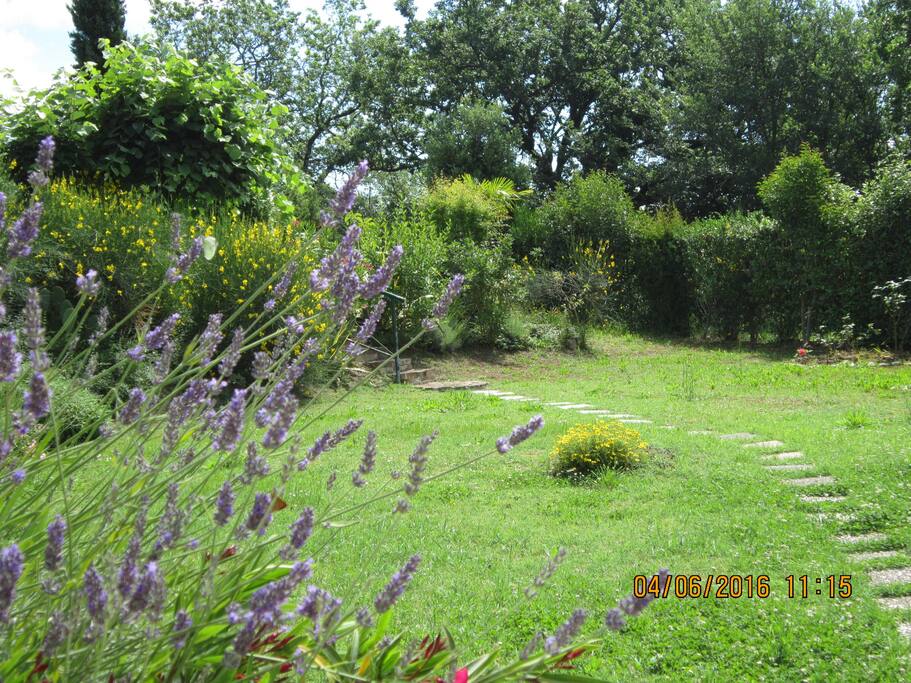 Ed ecco un angolo del giardino