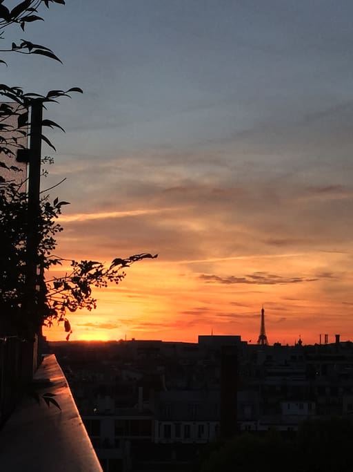 Summer view