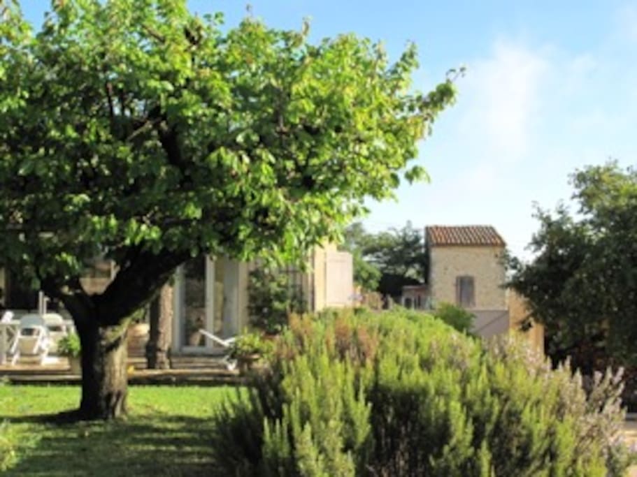 Top Garden