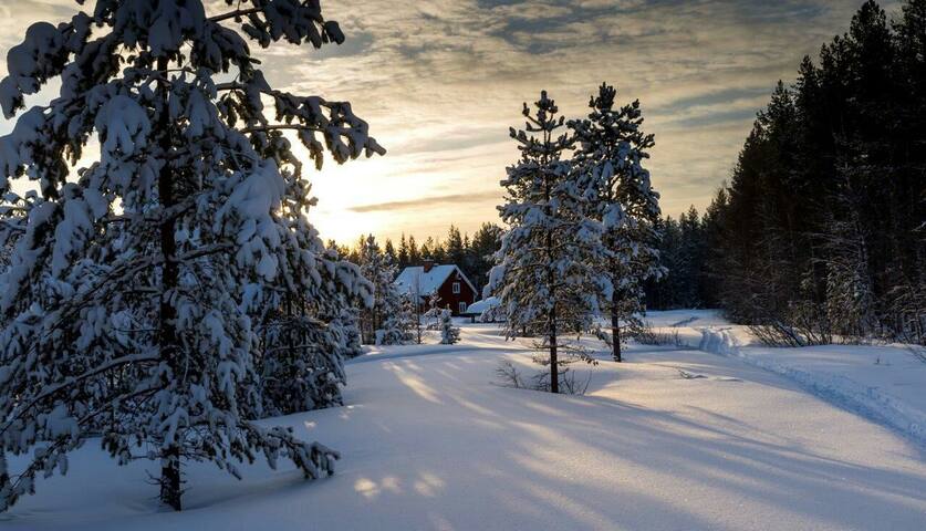 PEACEFUL HOUSE  set in its own grounds