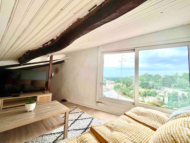Le-panorama T3 De 70m2 Climatisé En Cœur De Ville - Romans-sur-Isère