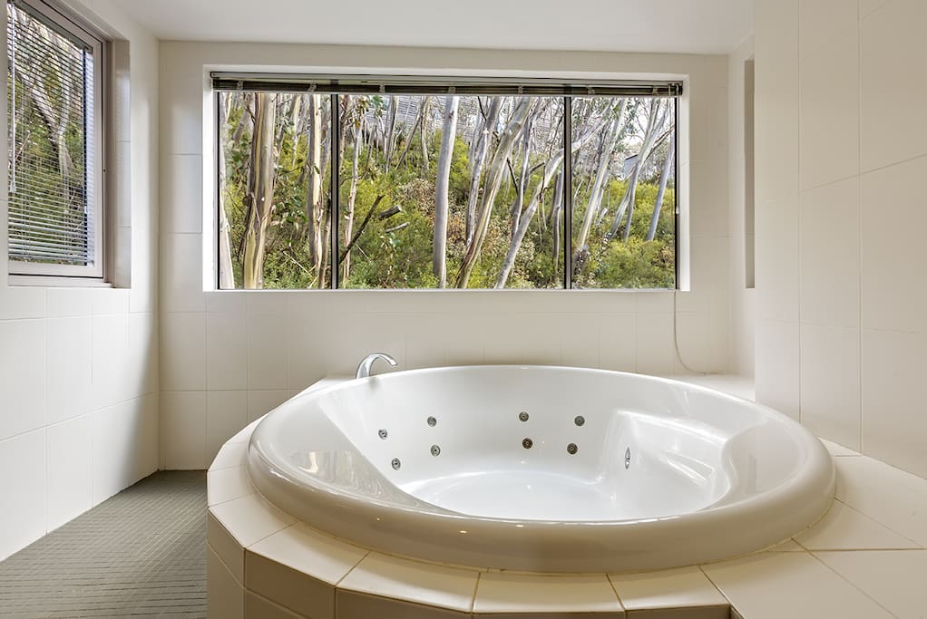 Internal spa room looking at snow gums