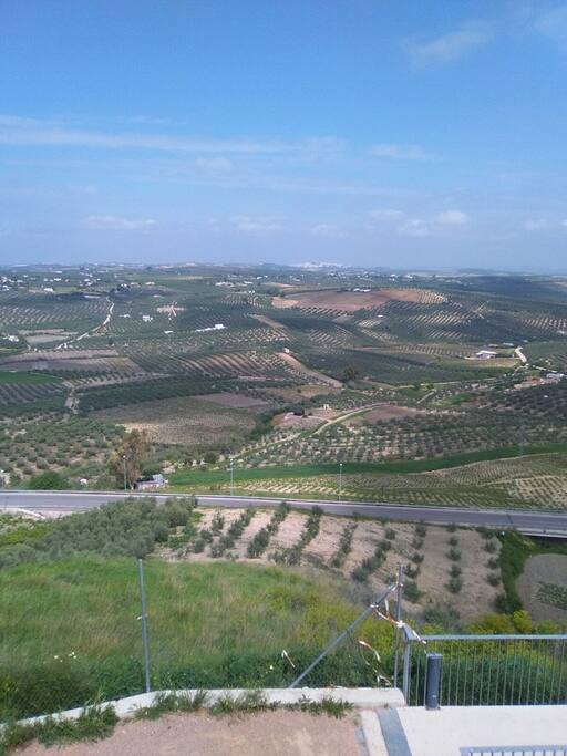 Vistas desde el Castillo de Montilla
