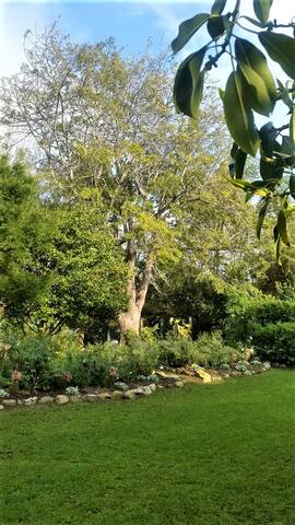 A Grape Escape!! gallery image 3