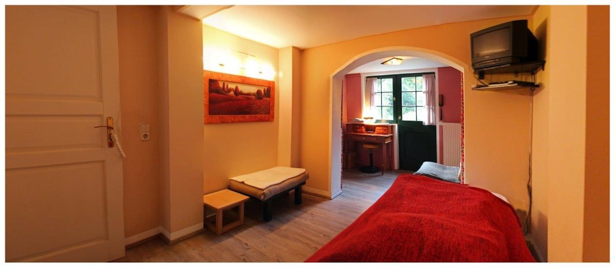 A quiet room features light-colored walls and wooden flooring. A spacious bed is complemented by bright red bedding. A small seating area and a desk is visible, along with a flat-screen TV mounted on the wall. Large windows open to a garden view.