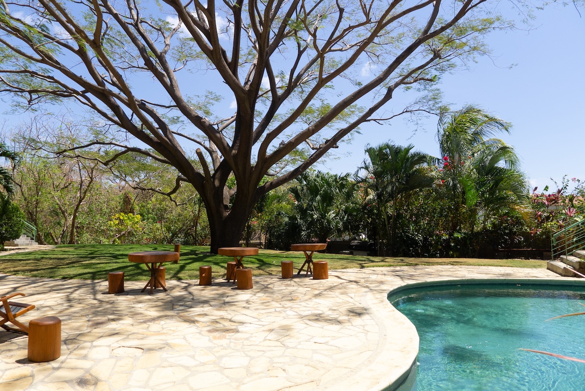 A private pool area is framed by a landscaped garden with tall trees and lush greenery. Several wooden tables with stools are arranged nearby on a stone patio, providing a shaded spot to relax. A clear blue pool reflects the sunlight under the open sky.