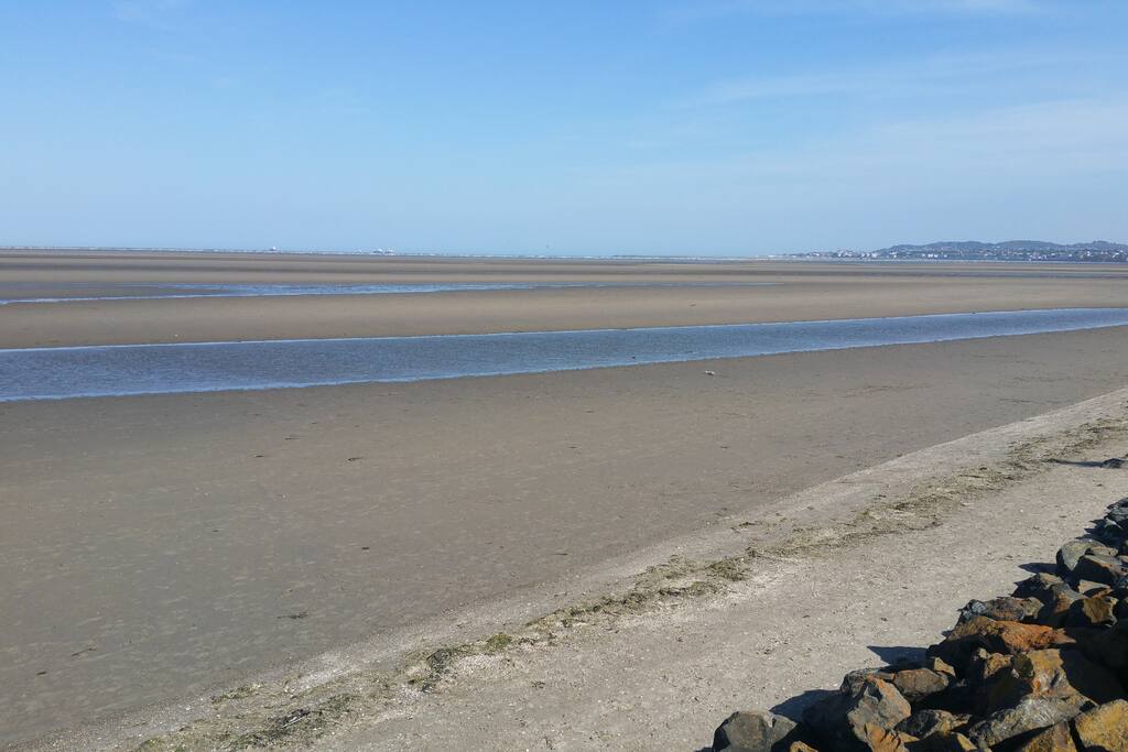 Sandymount Strand