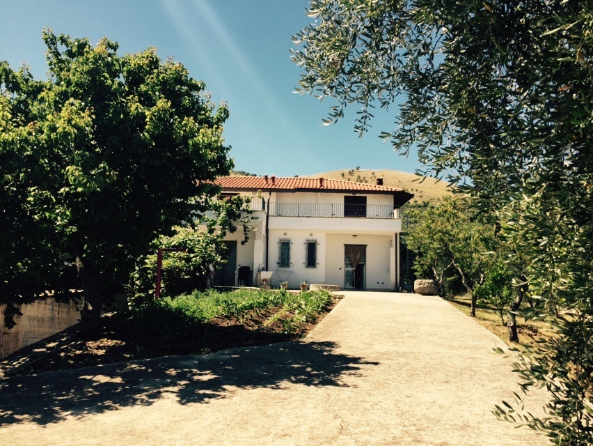 The front view of a two-story house is surrounded by olive trees and greenery. A spacious driveway leads to the entrance, framed by well-maintained landscaping. The house features a light facade with a tiled roof and a welcoming entrance door.