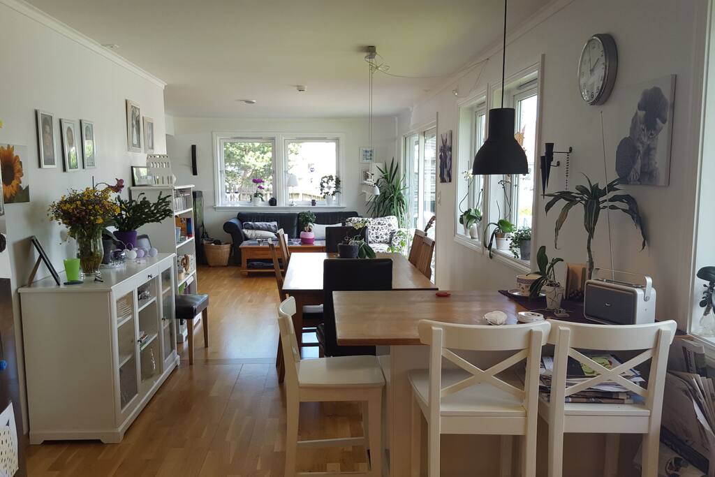 Kitchen in to the livingroom.