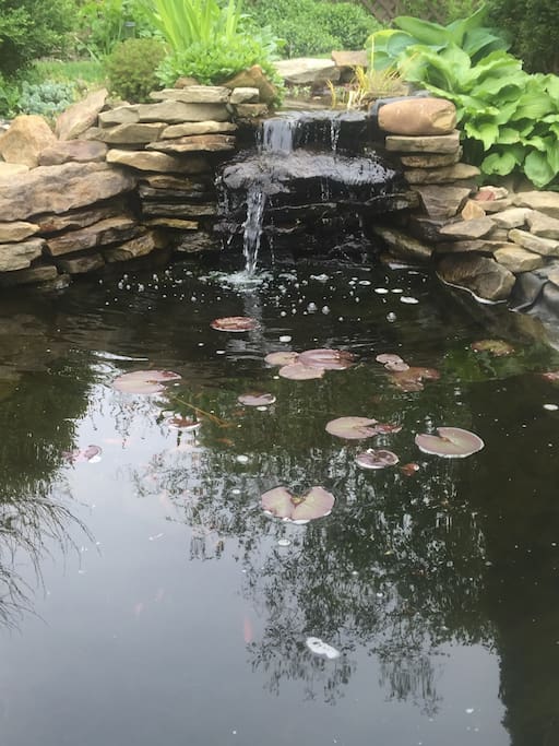 Fish pond