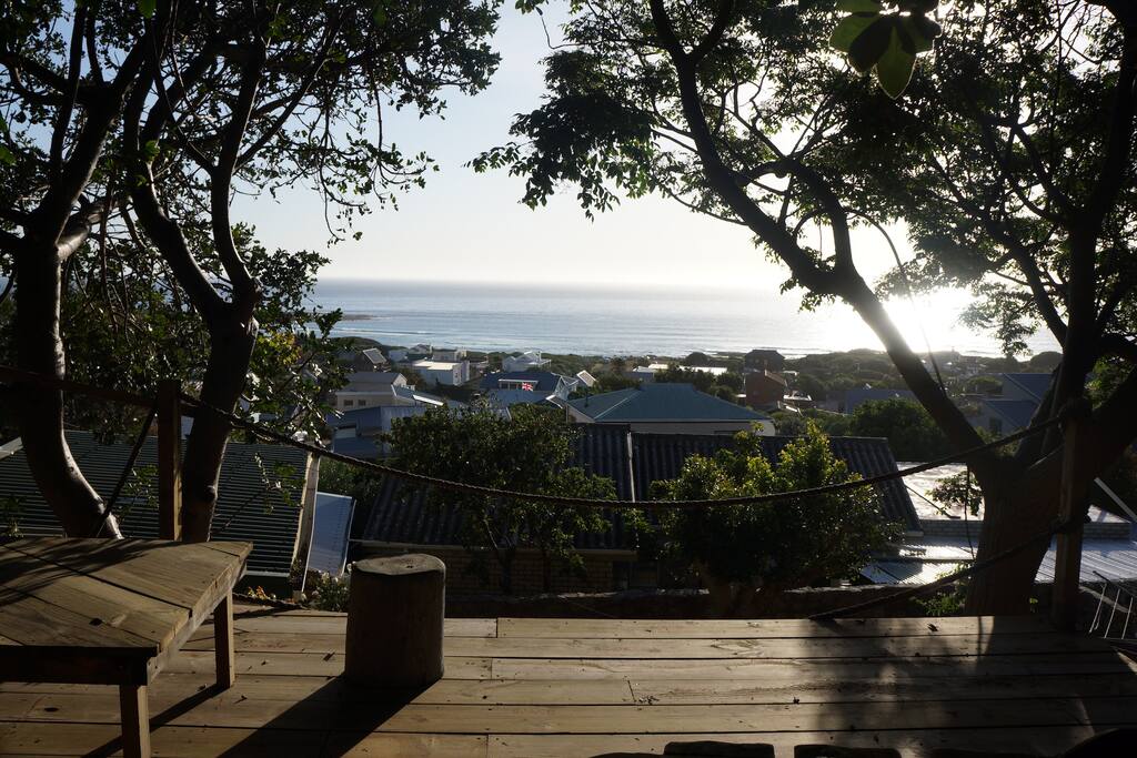 View from the treehouse