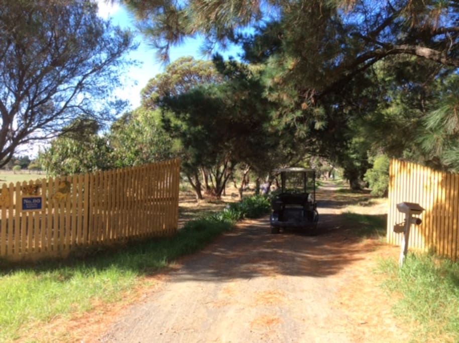 Front driveway