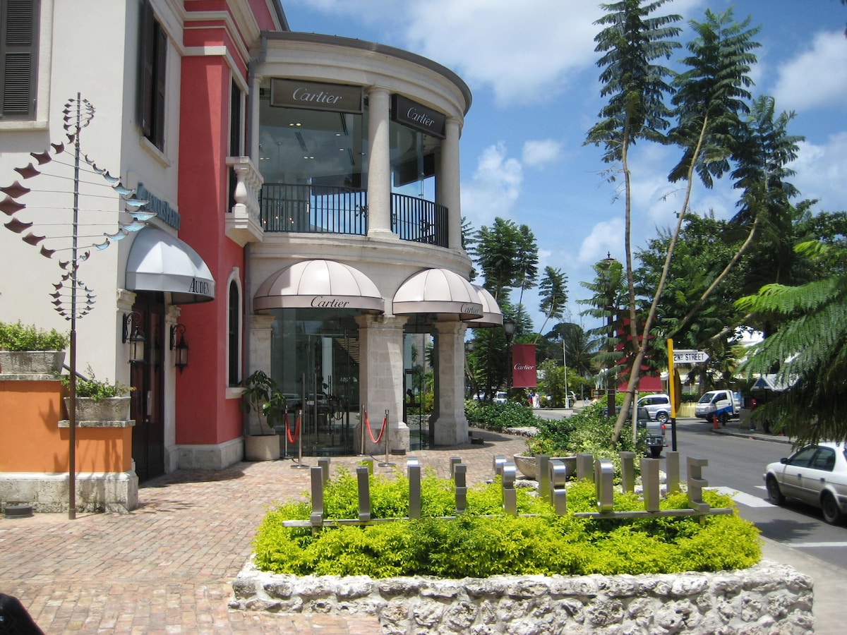 A well-maintained retail plaza is seen featuring elegant storefronts, including a luxury brand with distinct signage. Canopies offer shade to pedestrians, while neatly arranged greenery adds vibrancy to the space. Beautiful tropical trees line the background, contributing to a welcoming atmosphere.