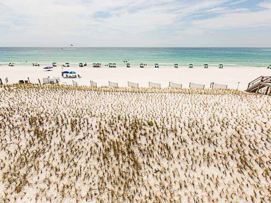 Beach, Coast, Outdoors, Sea, Water