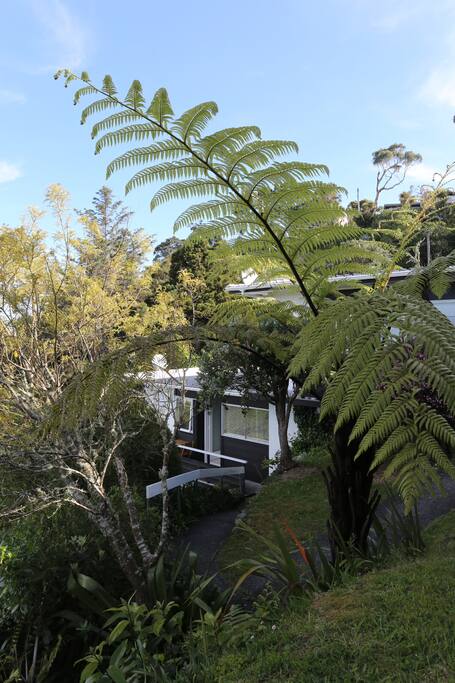 Pathway to Conifer House